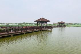 沧州南大港湿地游玩攻略-门票价格-景点信息