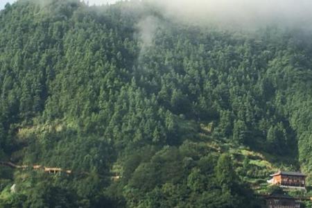 2022黔东南雷公山国家森林公园游玩攻略 - 门票 - 地址