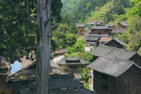 2022黔东南雷公山国家森林公园游玩攻略 - 门票 - 地址