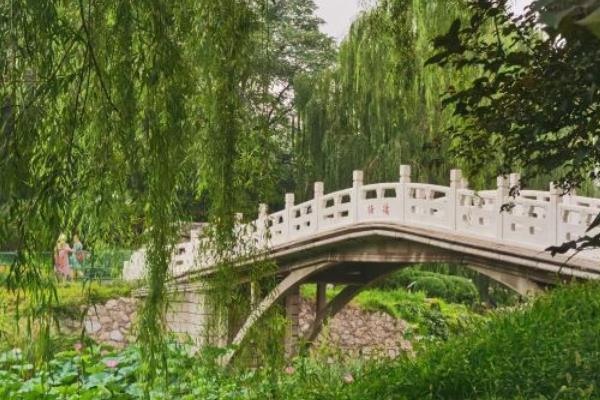 2021北京紫竹院竹荷文化节活动-地址
