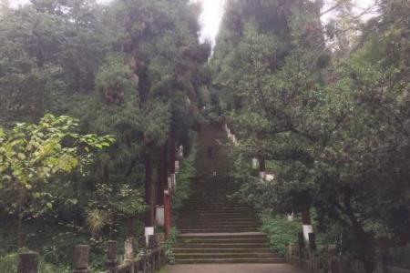 2022遵义凤凰山国家森林公园游玩攻略 - 门票 - 地址