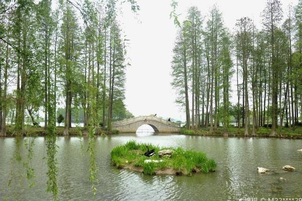 2021太湖煙花秀時間-地點