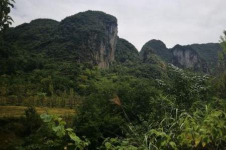 2022贵州甲茶风景名胜区游玩攻略 - 地址 - 门票
