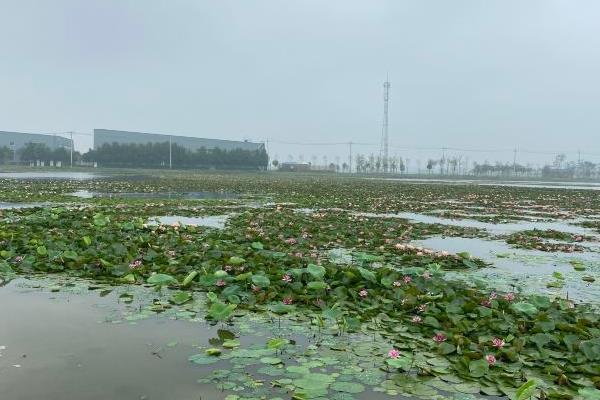 天津曙光水鎮(zhèn)在哪里 天津曙光水鎮(zhèn)好玩嗎