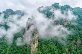 2021温州龙湾潭国家森林公园在鹤盛接种疫苗免门票