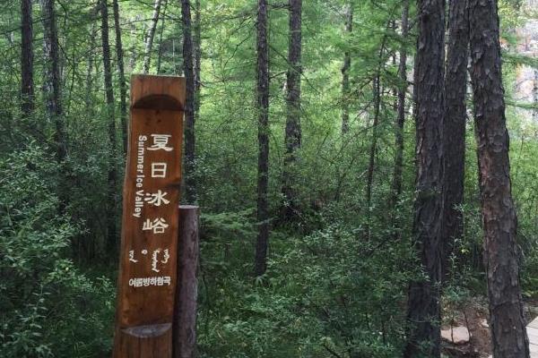 2022内蒙古好森沟国家森林公园门票价格 - 地址 - 游玩攻略