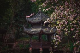2021三苏祠博物馆怎么预约-预约指南