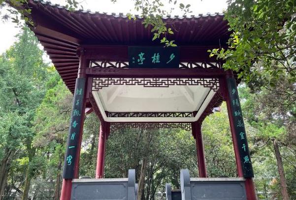 8月武汉解放公园暂停开放区域和活动取消延期