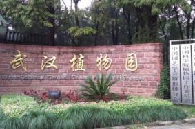 武汉8月中国科学院武汉植物园暂时闭园