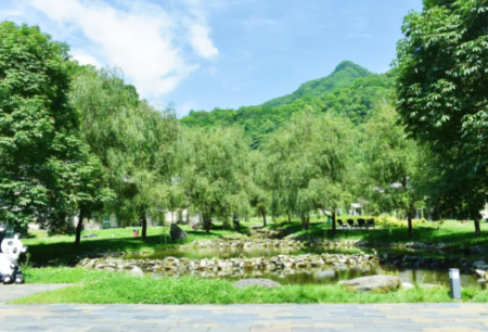 唐家河国家级自然保护区怎么样-景点介绍