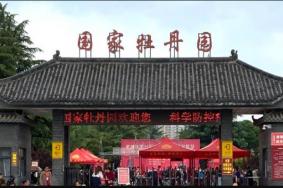 8月洛阳国家牡丹园恢复开放时间​