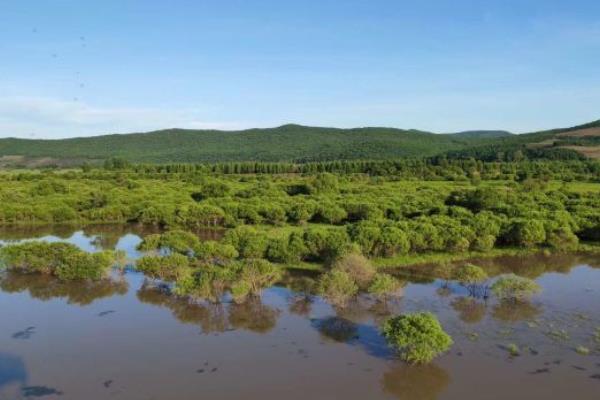 2022吉林雁鸣湖国家级自然保护区地址 - 攻略