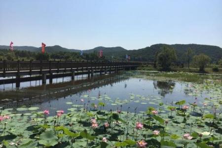 2022吉林大石头亚光湖国家湿地公园门票价格 - 特色
