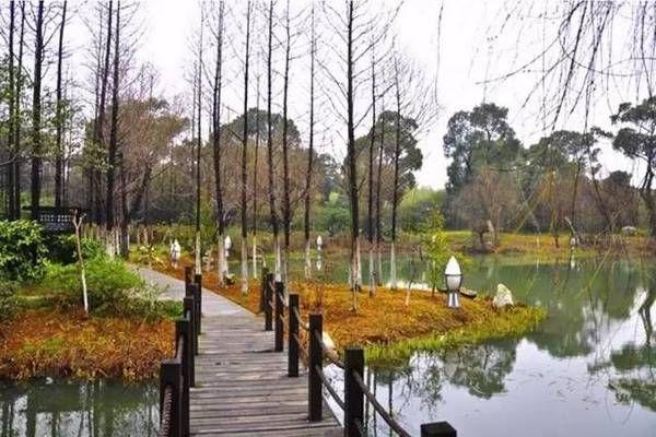 无锡新洲生态园门票多少钱 无锡新洲生态园开放了吗