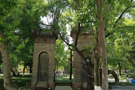 2022西安荐福寺门票价格