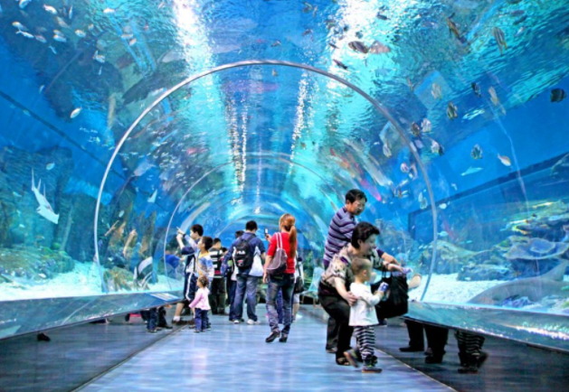 2021年8月27日武漢東湖海洋樂園恢復開放