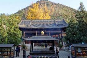 8月洛阳古观音禅寺恢复开放时间