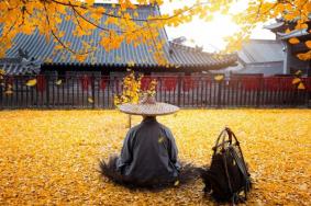 西安古观音禅寺开放时间 古观音禅寺恢复开放通知