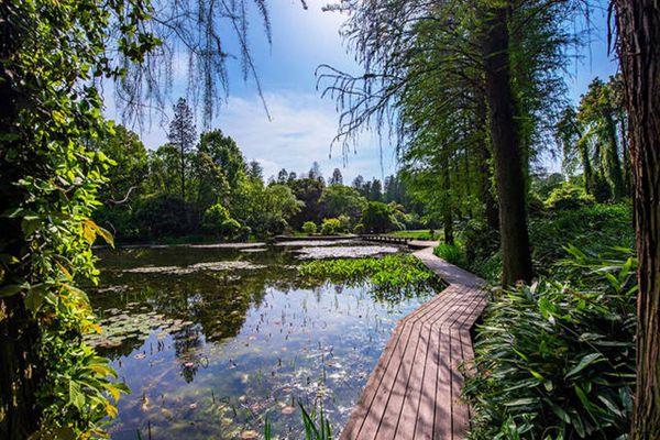 2021武汉植物园门票多少钱一张 武汉植物园需要预约吗