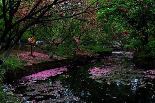 2021武汉植物园门票多少钱一张 武汉植物园需要预约吗