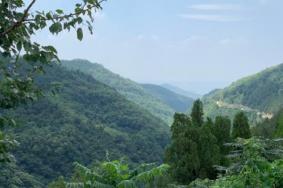 2024西安洪庆山国家森林公园门票价格-门票价格-景点信息