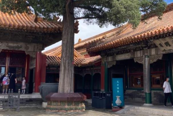 2021中秋北京故宫有哪些展览