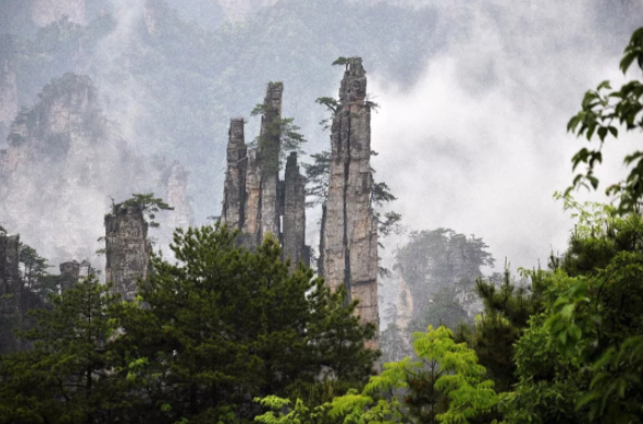 張家界A級景區向全國游客半價 8月27日張家界部分景區恢復開放