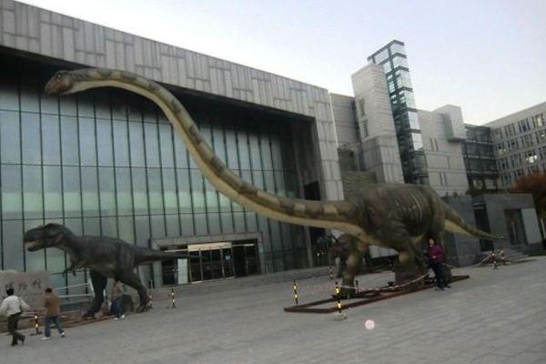 北京国家动物博物馆8月26日起恢复开放 国家动物博物馆门票地址
