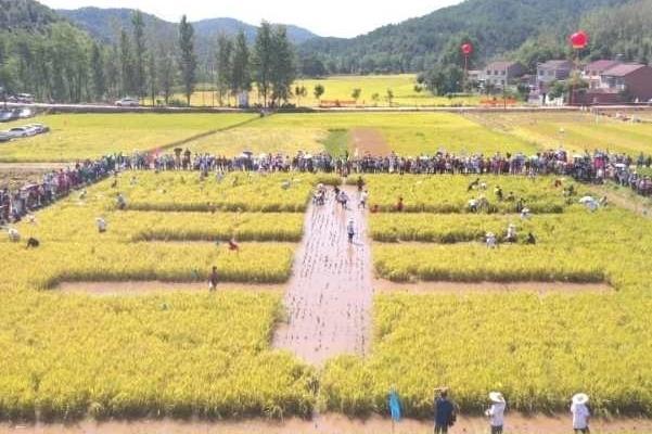 2021襄阳中国农民丰收节地点-时间