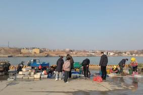 青岛南姜码头几点有卖海鲜的