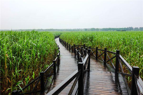 2021年9月上海西沙湿地公园临时闭园6天