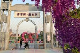 2021泰州香草湾景区恢复开园时间