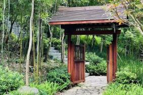 2021教师节深圳观澜山水田园活动