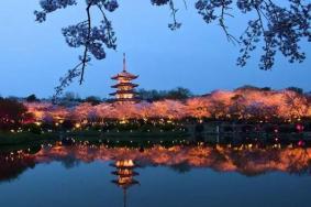 2021南京江宁区景点恢复开放情况汇总