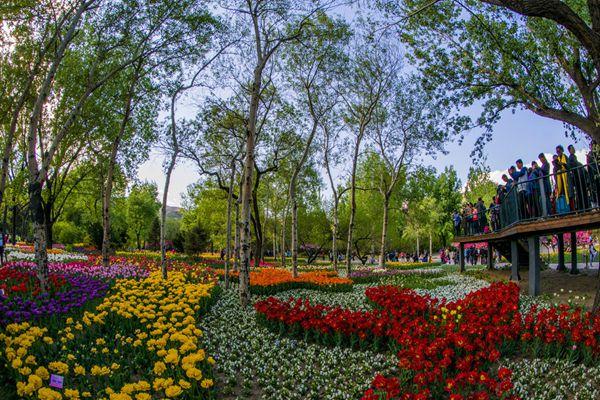 受暴雨影响北京植物园临时闭园公告