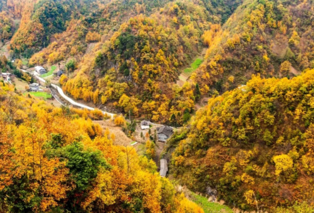 重慶及周邊景點旅游路線推薦