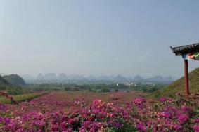 2021桂林花海景区中秋节活动详情