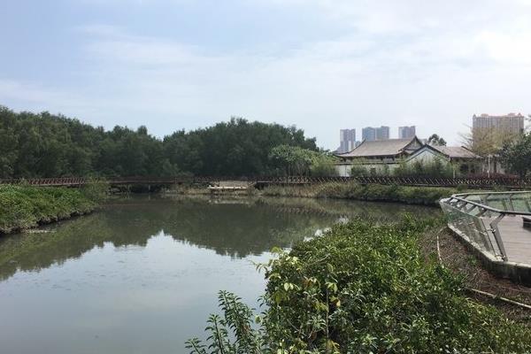 2021因施工检修大亚湾红树林城市湿地公园闭馆