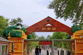 天津動物園開放時間及門票