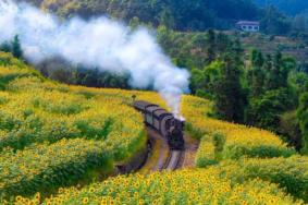 乐山犍为旅游景点有哪些