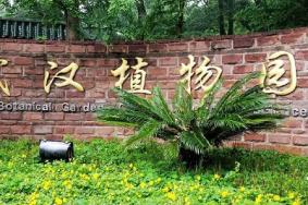 十月份的武汉植物园好玩吗