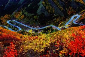 六盘山国家森林公园有哪些景点
