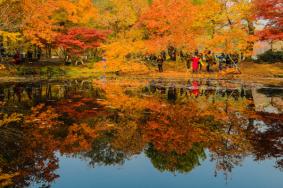 2021国庆节天平山枫叶红了吗 天平山红枫最佳时间