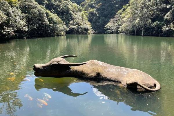 金華牛頭山國家森林公園門票多少錢及游玩攻略