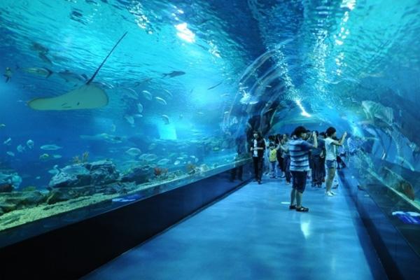 天津海洋馆门票多少钱2022 天津海洋馆有什么动物