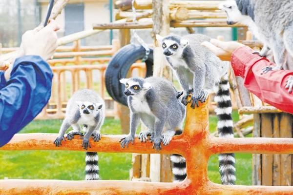 2021蘭州野生動物園開園時間及游玩攻略