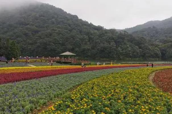 2021广州国庆节有哪些地方可以赏花