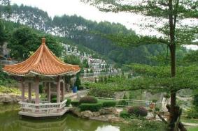 2021重阳节东莞茶园山祭扫流程-预约
