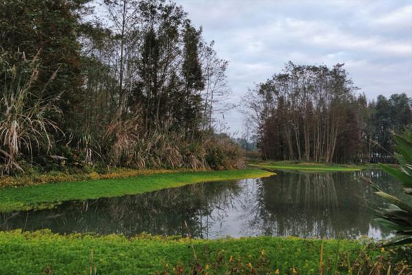 2022桤木河湿地公园游玩攻略 - 门票价格 - 开放时间