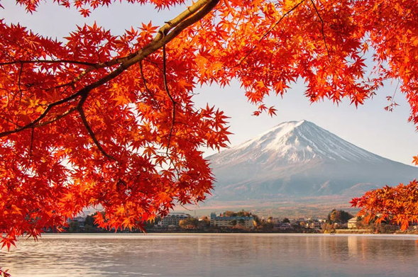 2021日本红叶季节是什么时候 日本红叶有名的地方